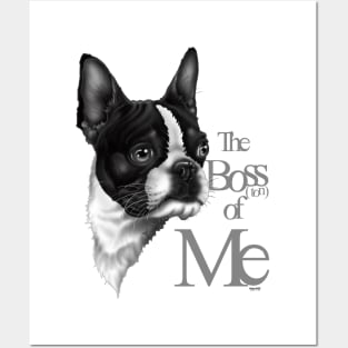 The Boss(ton) of me Posters and Art